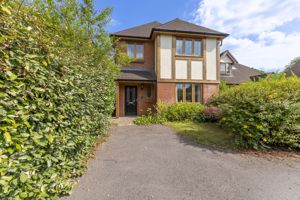 Photo 1- click for photo gallery